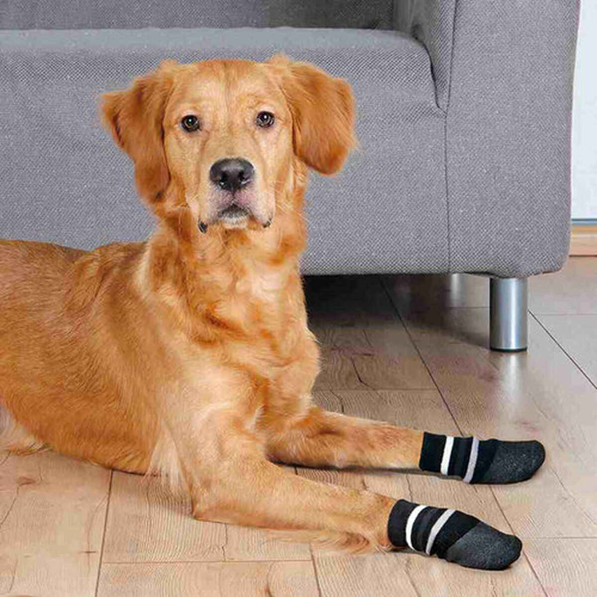 Socks Trixie Black L/XL Dog