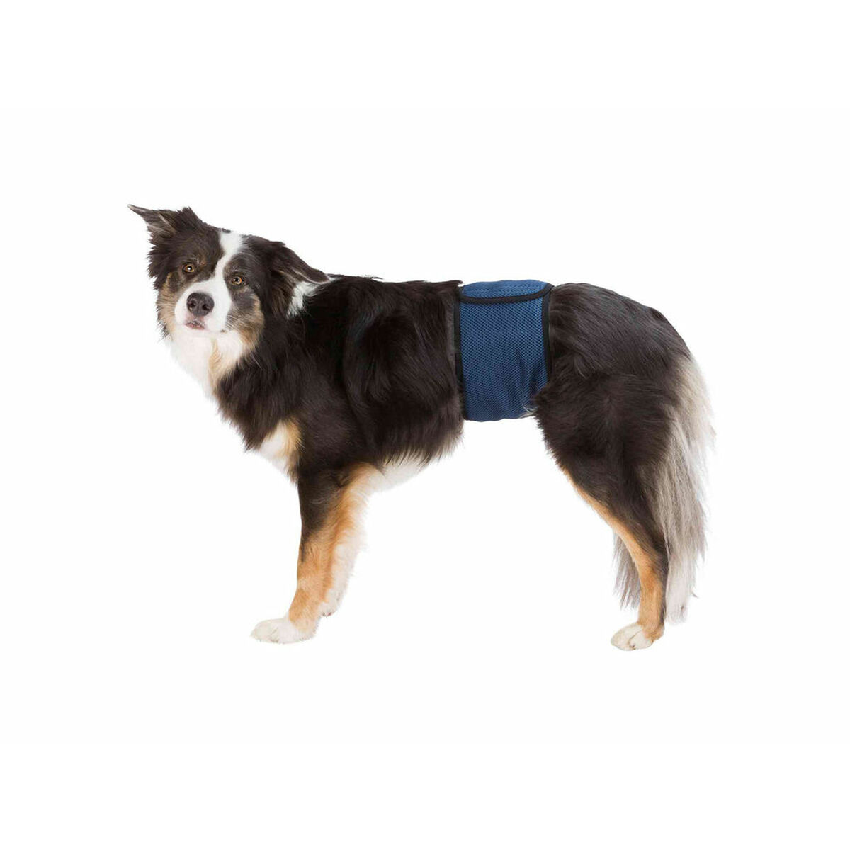 Strap Trixie 45-55 cm Male Plug Abdomen