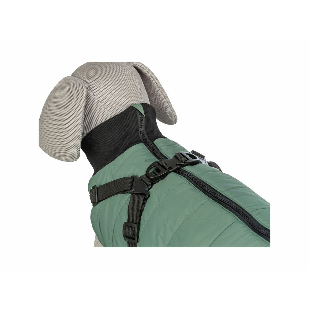 Dog Coat Trixie Green XXS