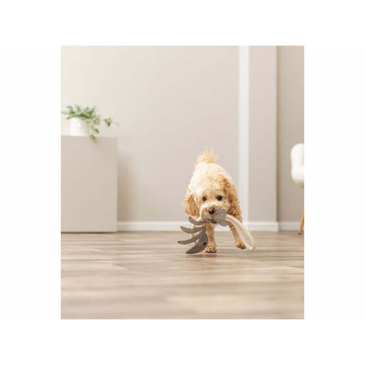 Soft toy for dogs Trixie