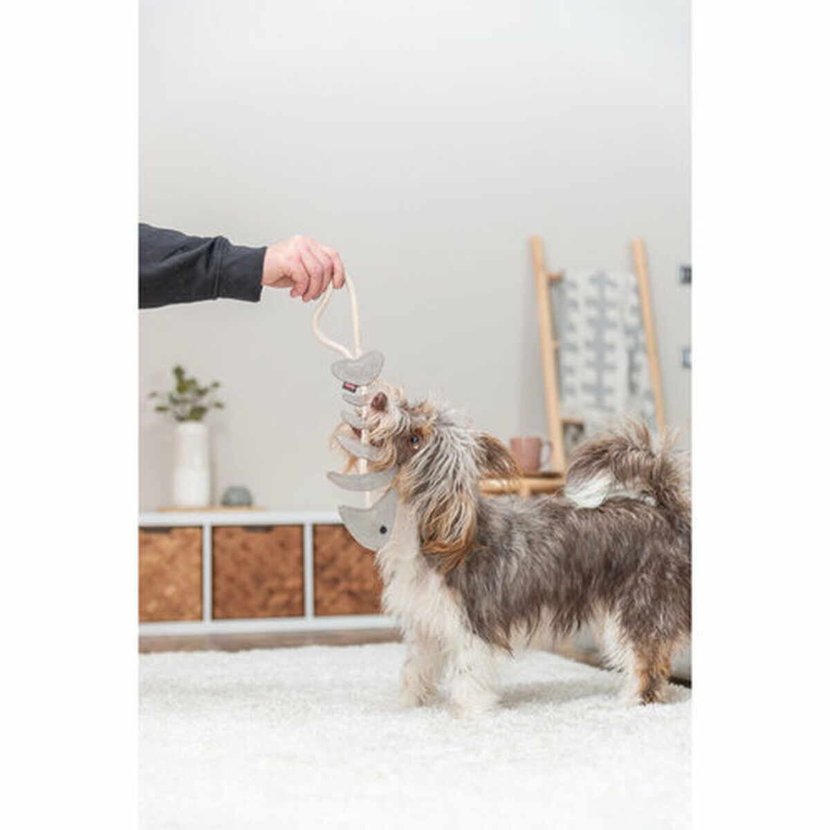 Soft toy for dogs Trixie