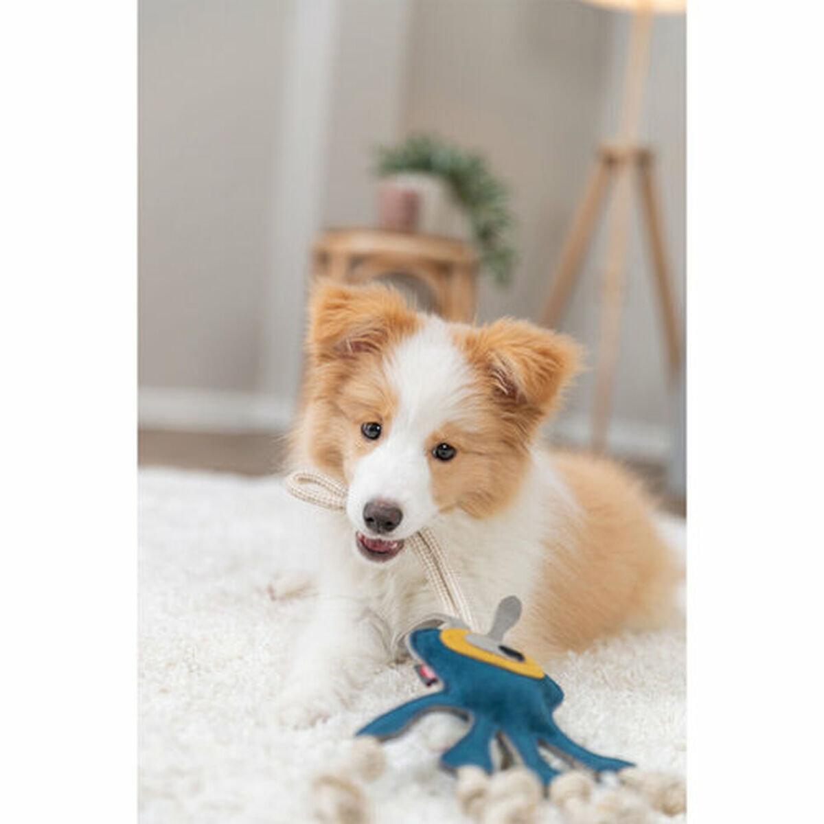 Soft toy for dogs Trixie 47 cm