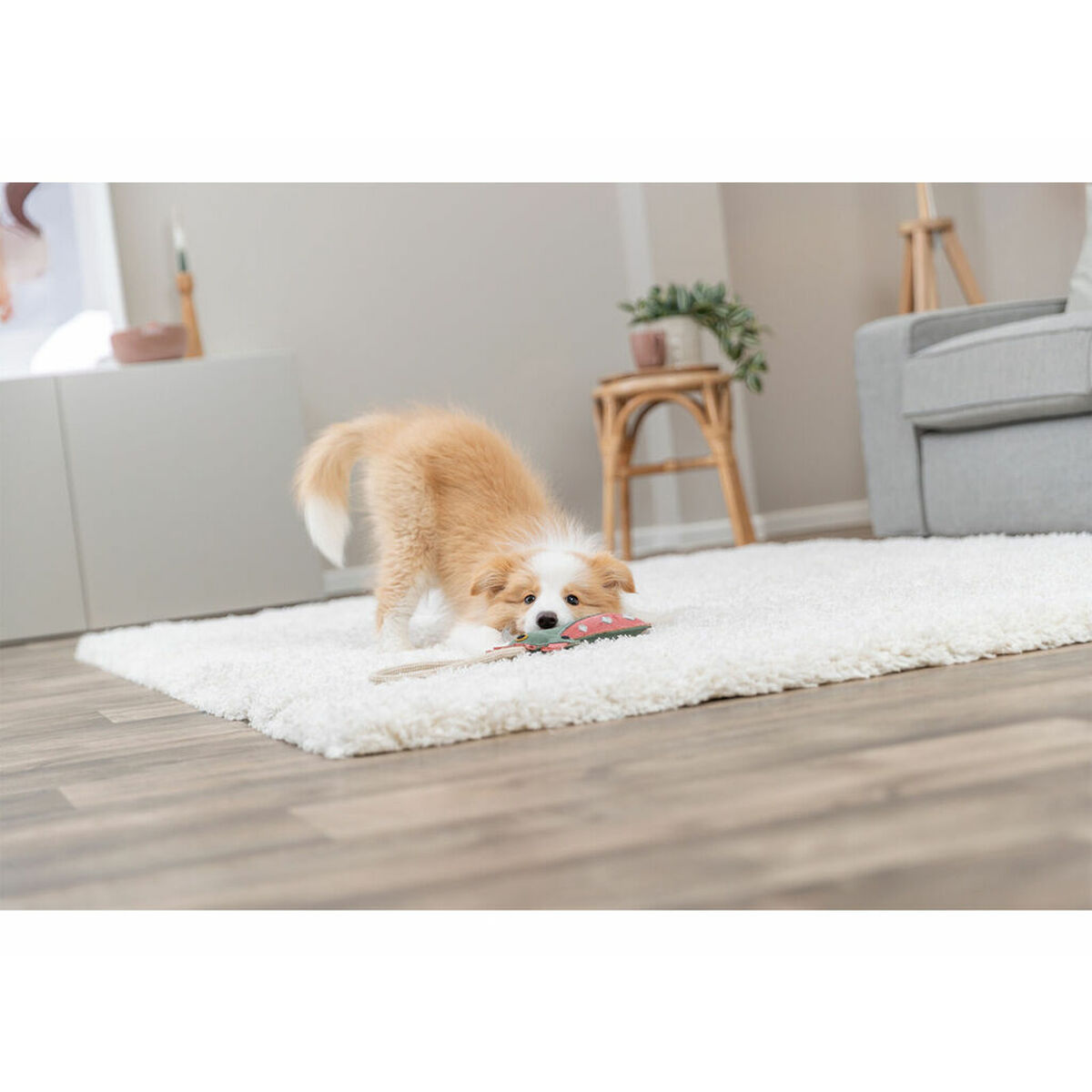 Soft toy for dogs Trixie