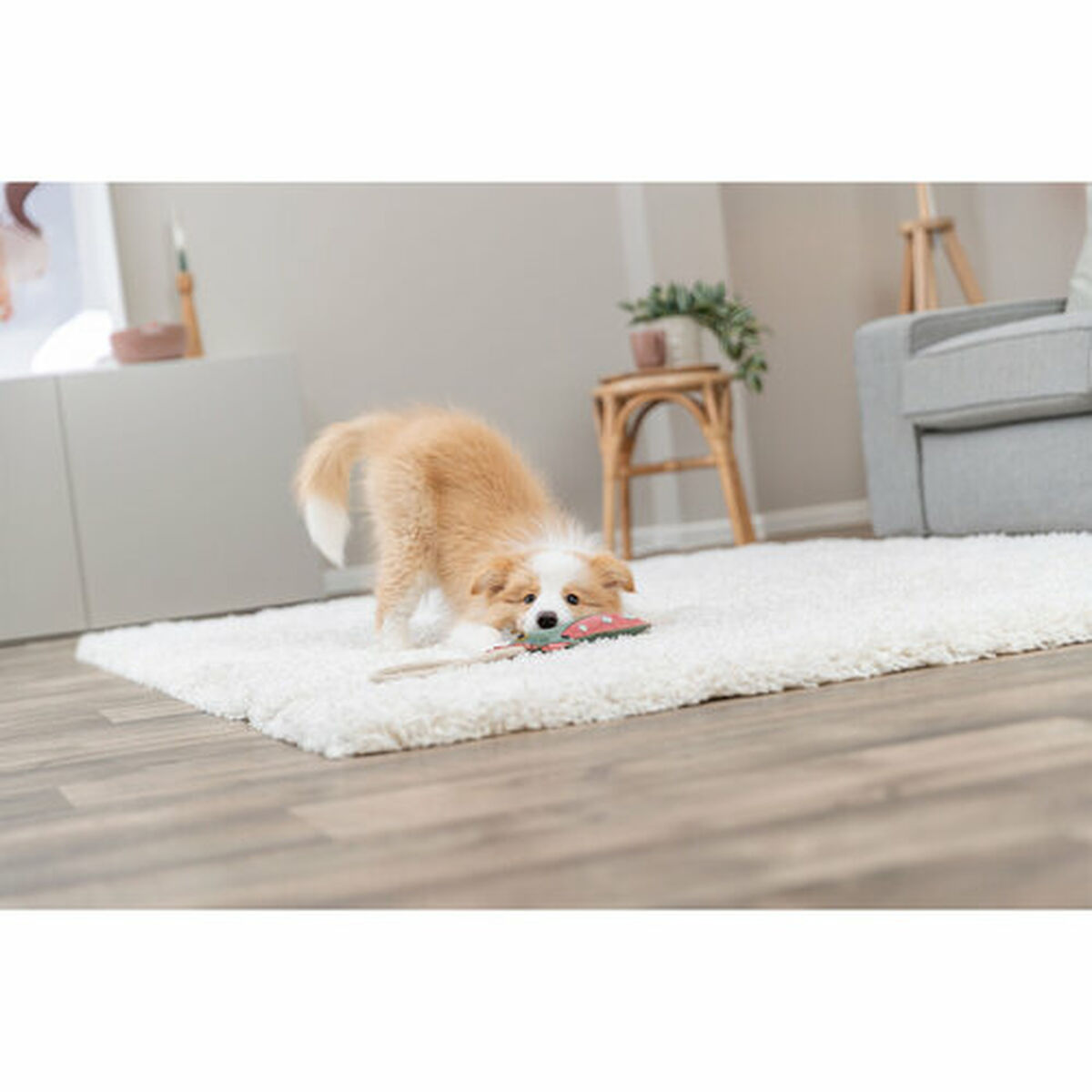 Soft toy for dogs Trixie