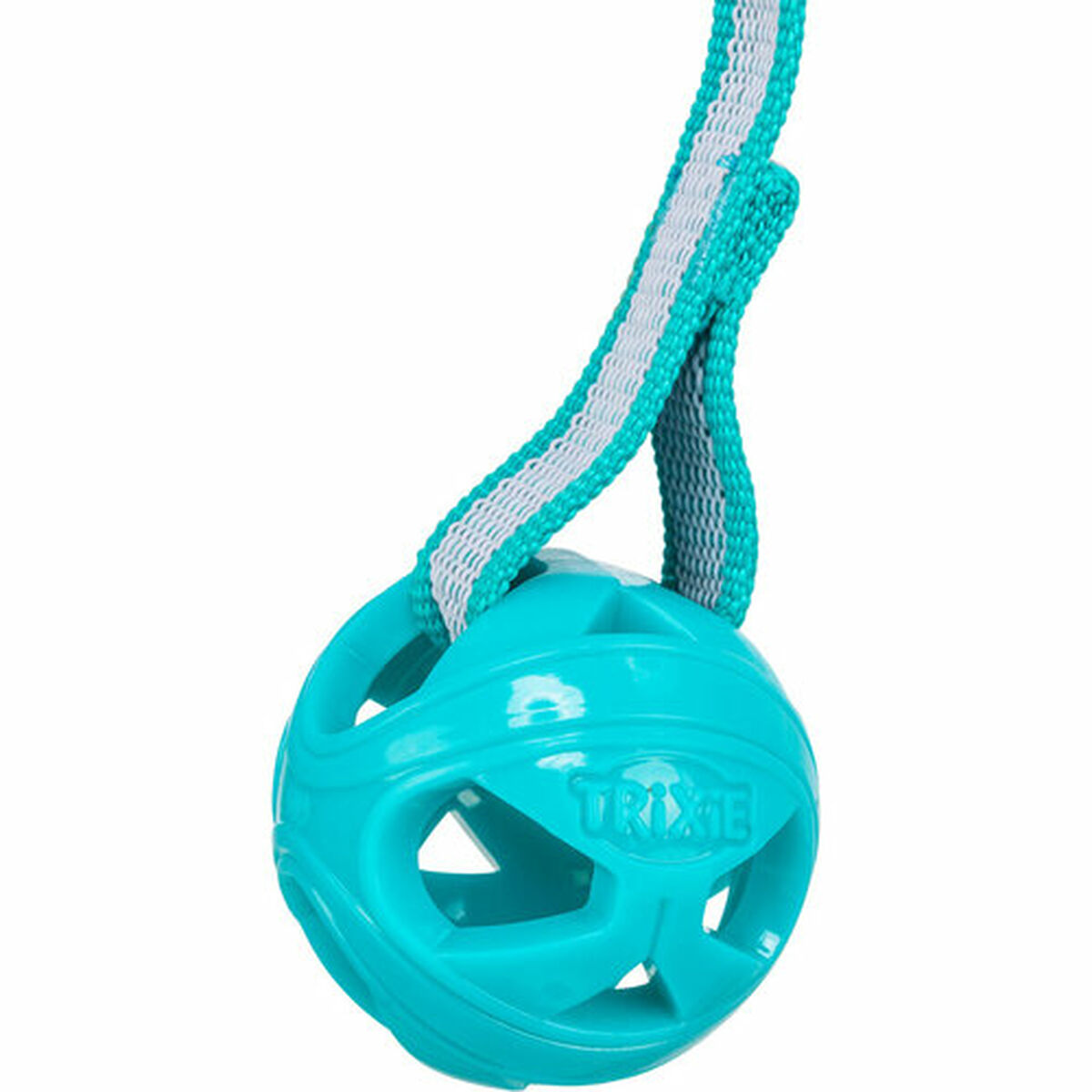 Dog toy Trixie Turquoise  6 x 23 cm Ball