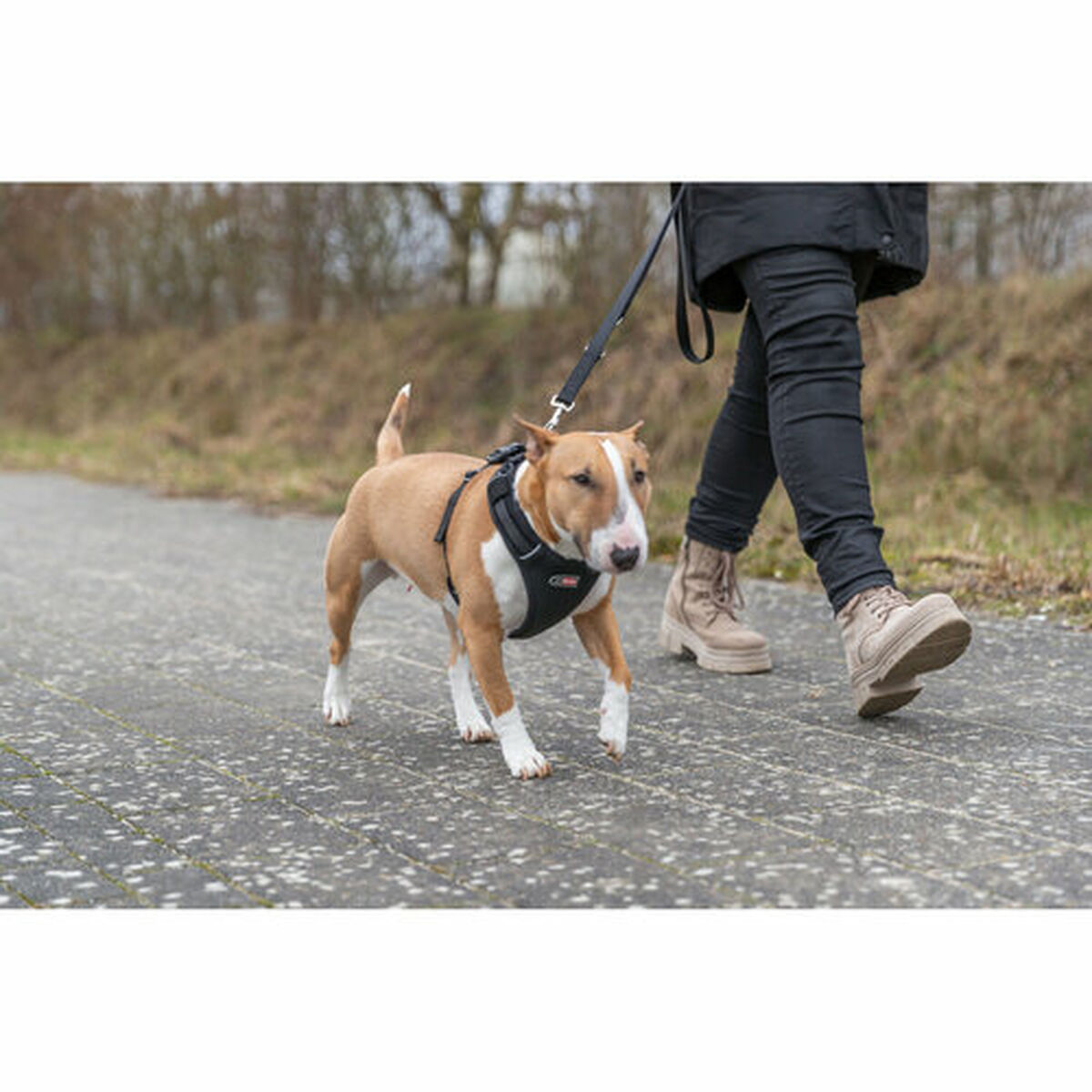 Dog Harness Trixie Premium FlexMesh Black S-M