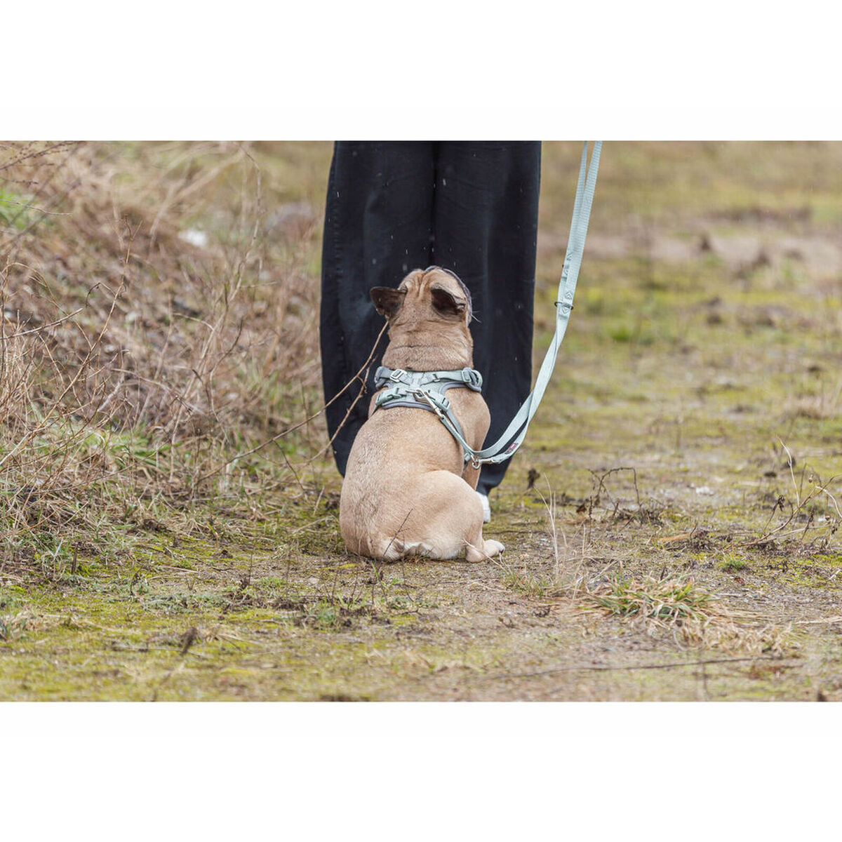 Dog Harness Trixie Premium FlexMesh S-M