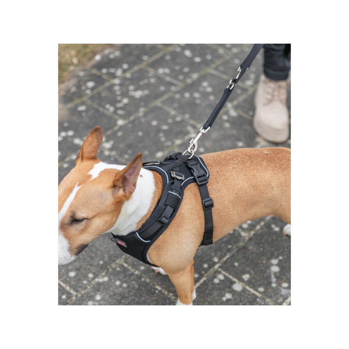 Dog Harness Trixie Premium FlexMesh Black M