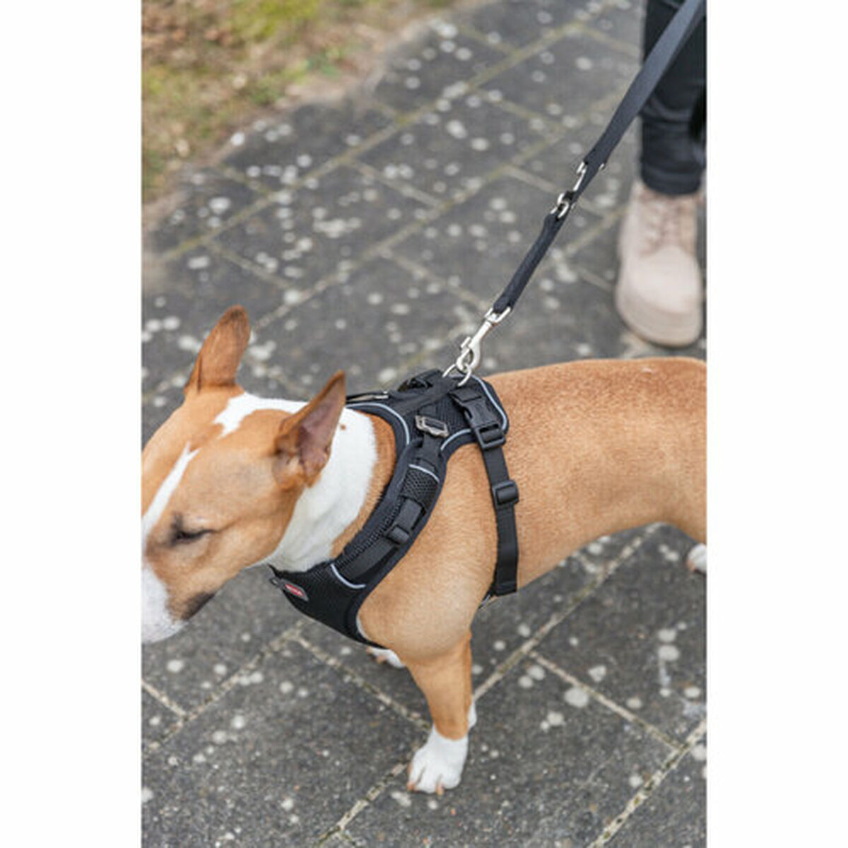 Dog Harness Trixie Premium FlexMesh Black M
