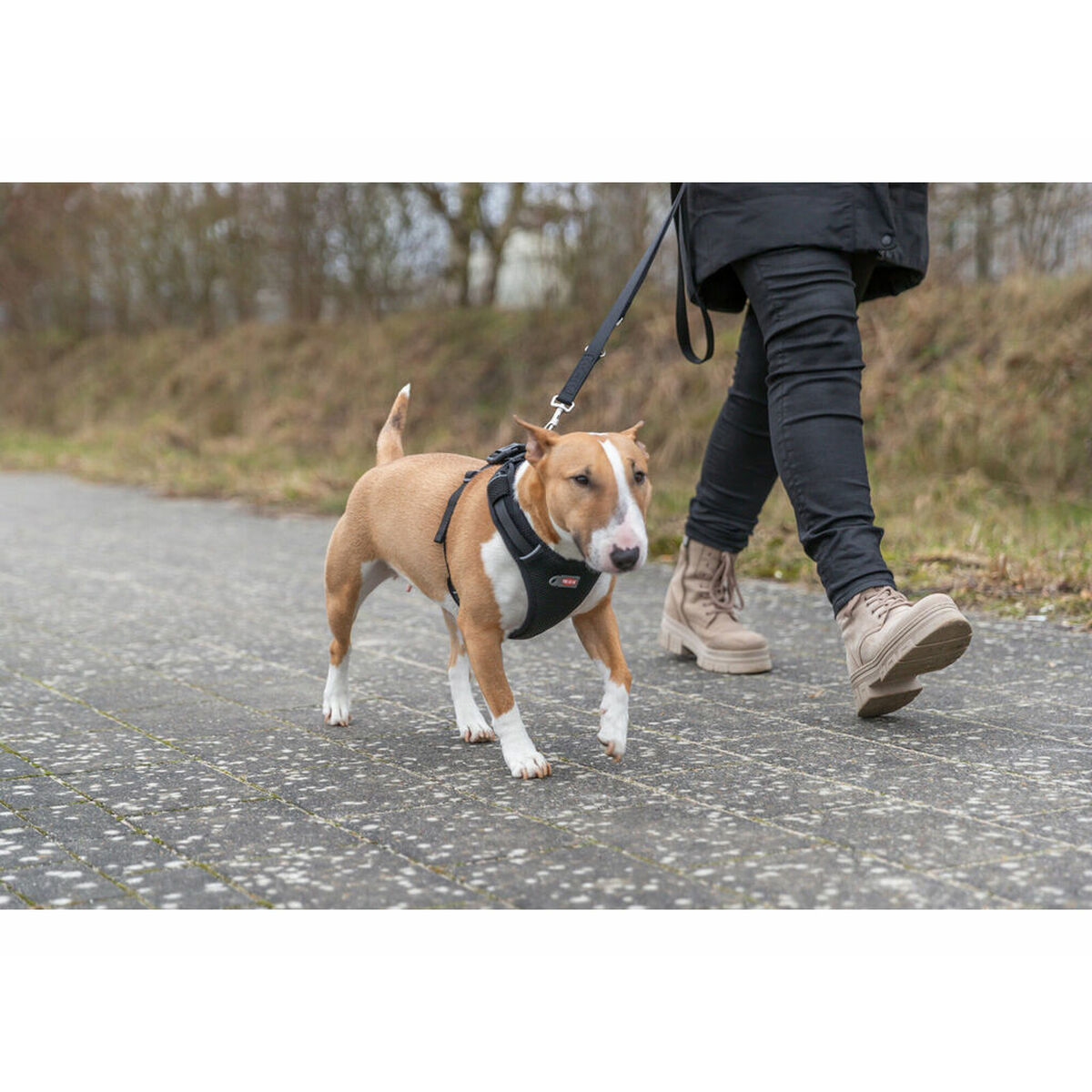 Dog Harness Trixie Premium FlexMesh Black M