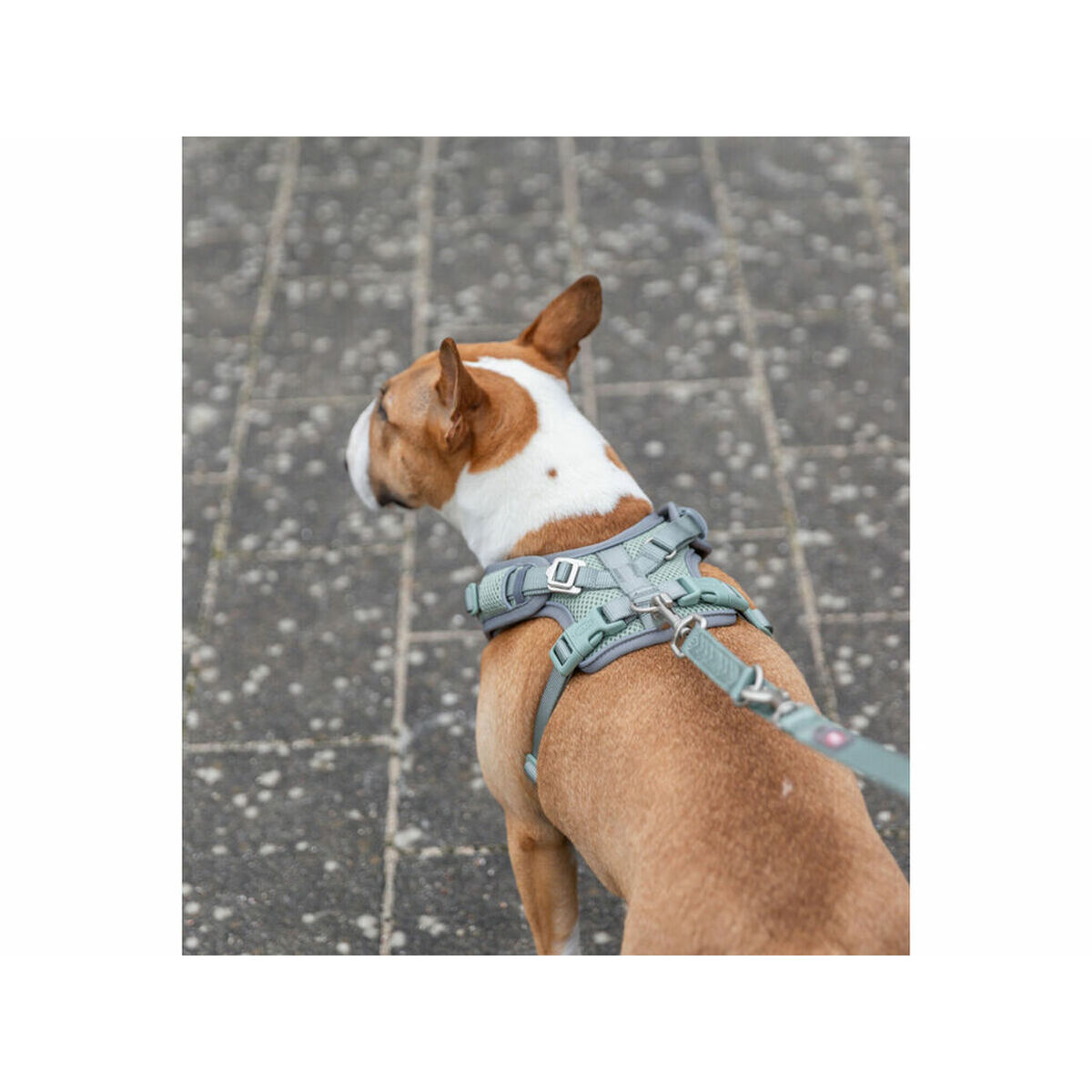 Dog Harness Trixie Premium FlexMesh M