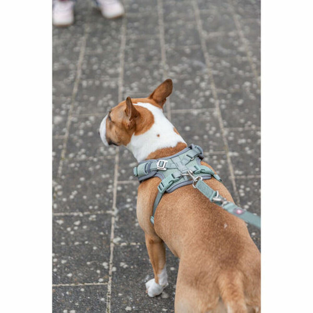 Dog Harness Trixie Premium FlexMesh L