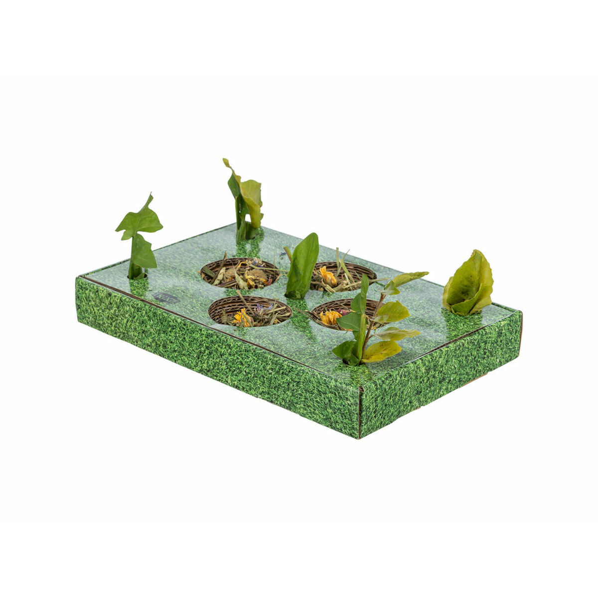 Snack tray Trixie Green Cardboard 28 x 3,8 x 18 cm