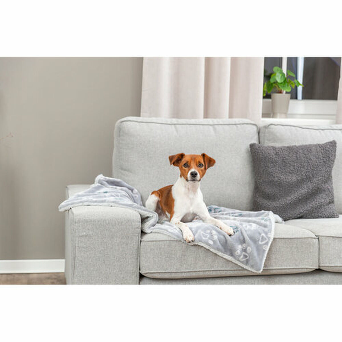 Pet blanket Trixie Jimmy Soft Light grey Polyester Plush 100 x 70 cm