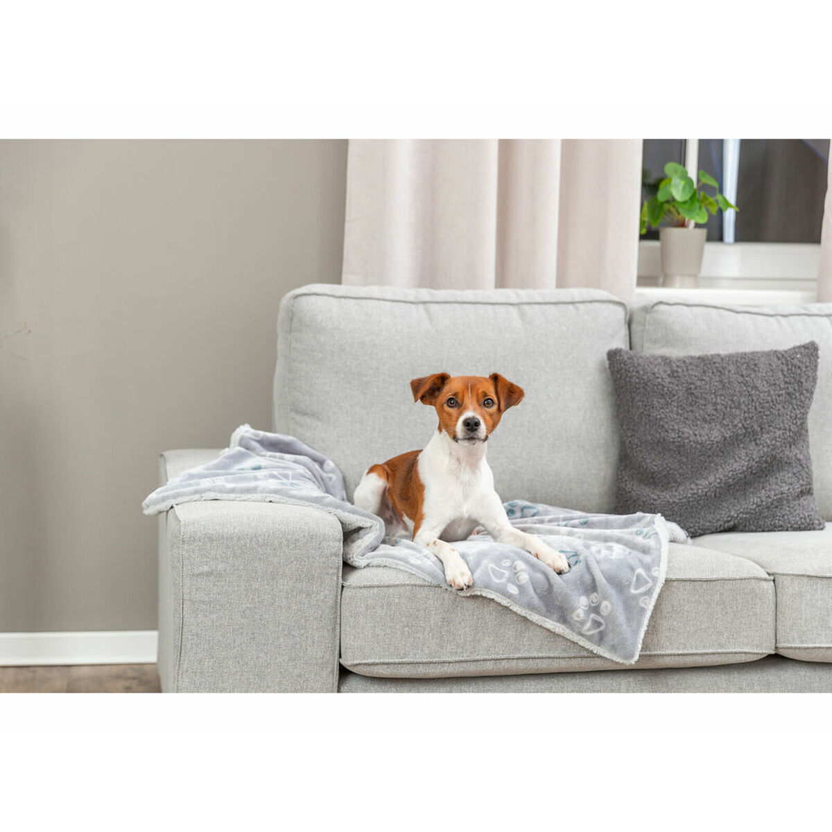 Pet blanket Trixie Jimmy Soft Light grey Polyester Plush 150  100 CM