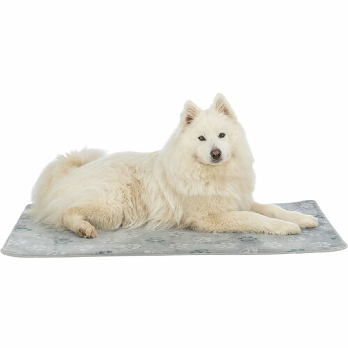 Airbed Trixie Light grey 70  50 cm Dog