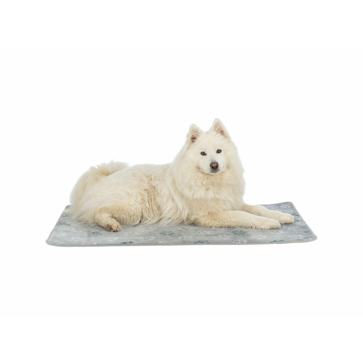Airbed Trixie Light grey 90  68 CM Dog