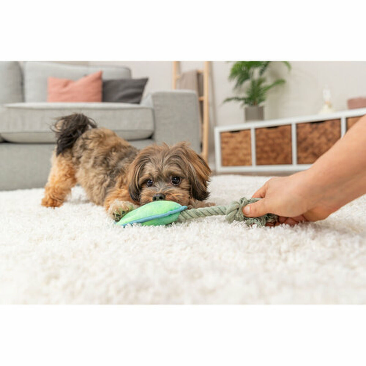 Soft toy for dogs Trixie Blue Green Polyester 22 cm