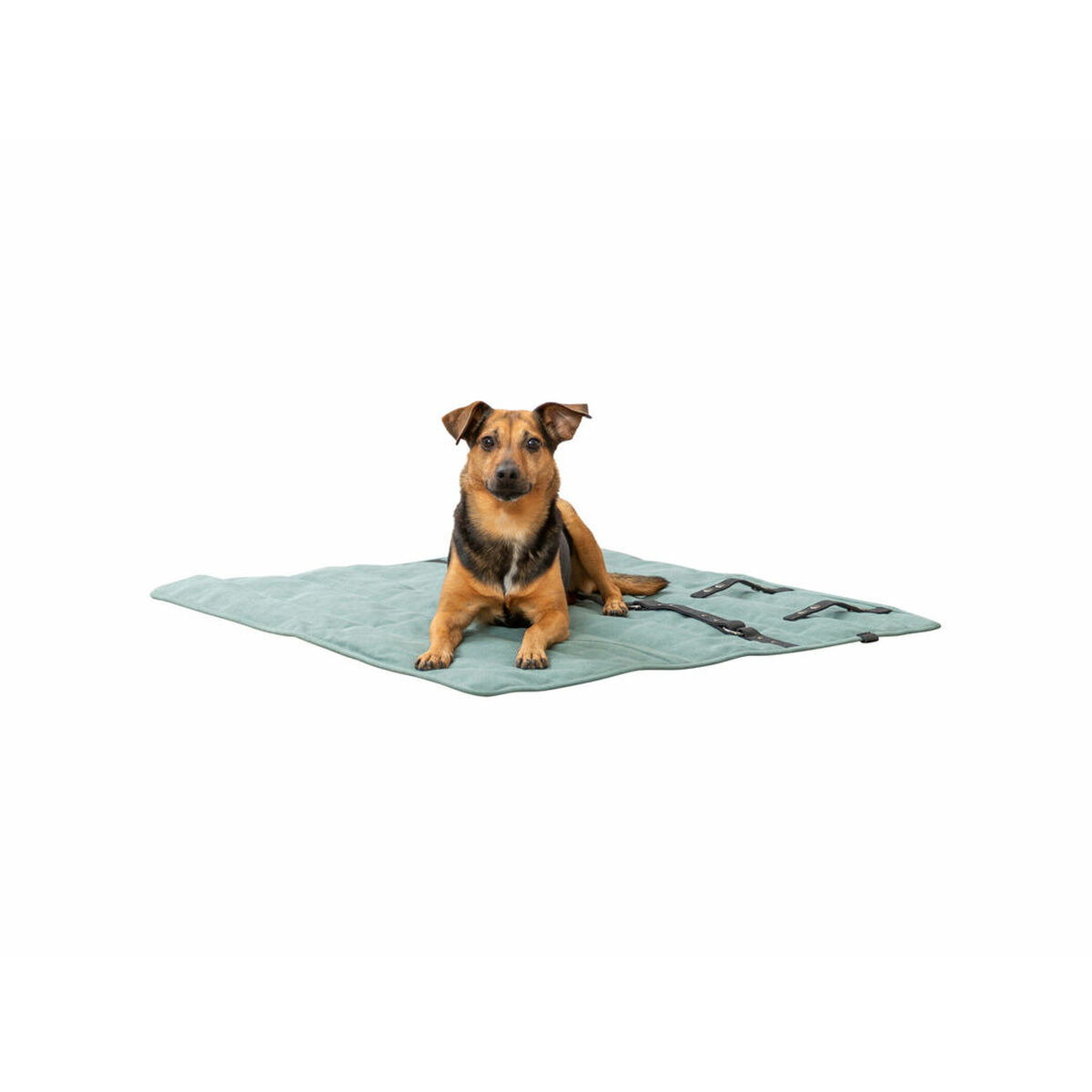 Pet blanket Trixie CityStyle Green Polyester Cotton 80  80 cm