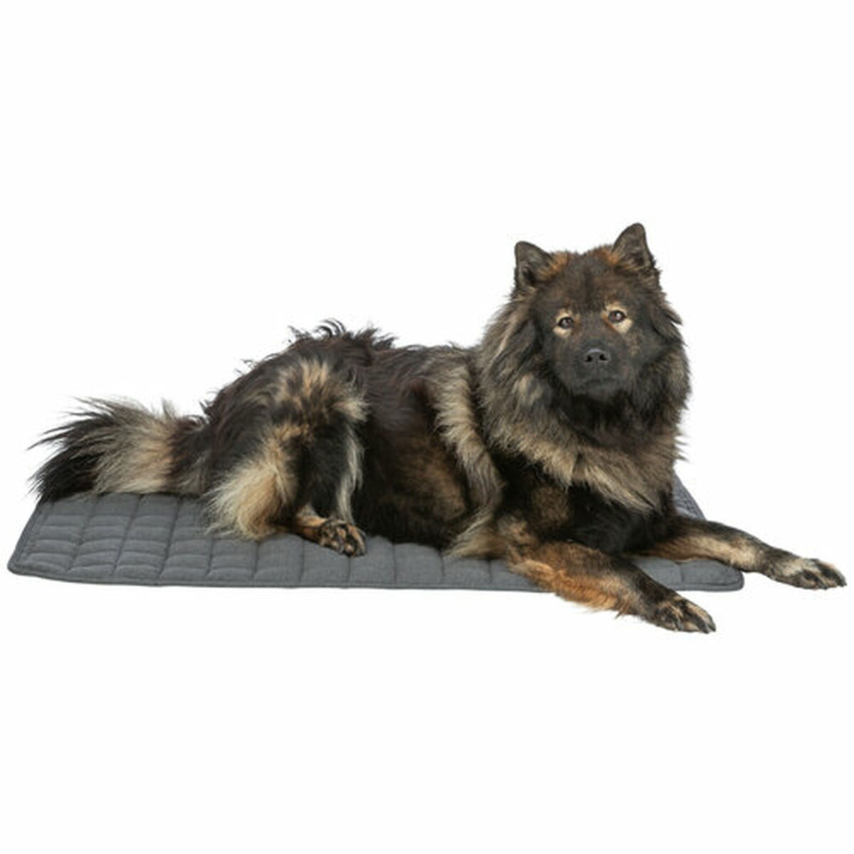 Airbed Trixie Dark grey 80  60 cm Dog