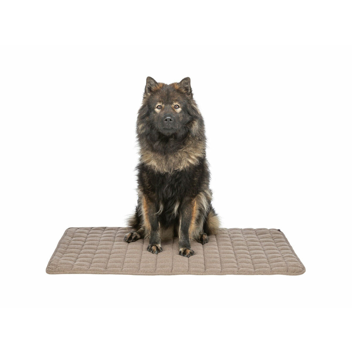 Airbed Trixie Brown 100  70 CM Dog