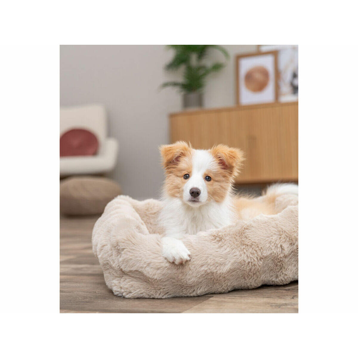 Dog Bed Trixie Sand 60  50 cm
