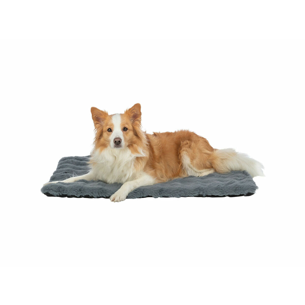 Airbed Trixie Dark grey 70  50 cm Dog