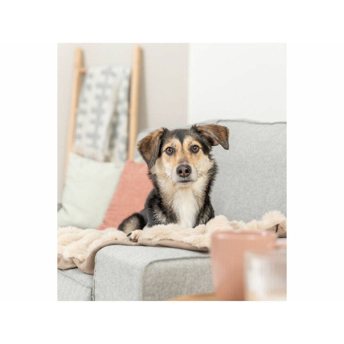 Pet blanket Trixie Elli Sand Polyester 100  70 CM