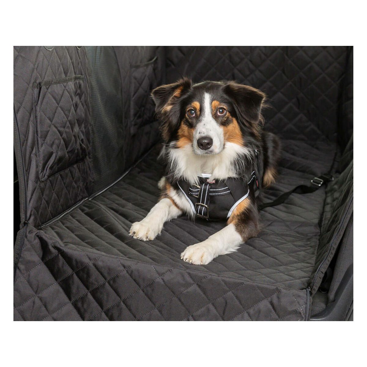 Protective Car Cover for Pets Trixie Black 164 x 161 cm