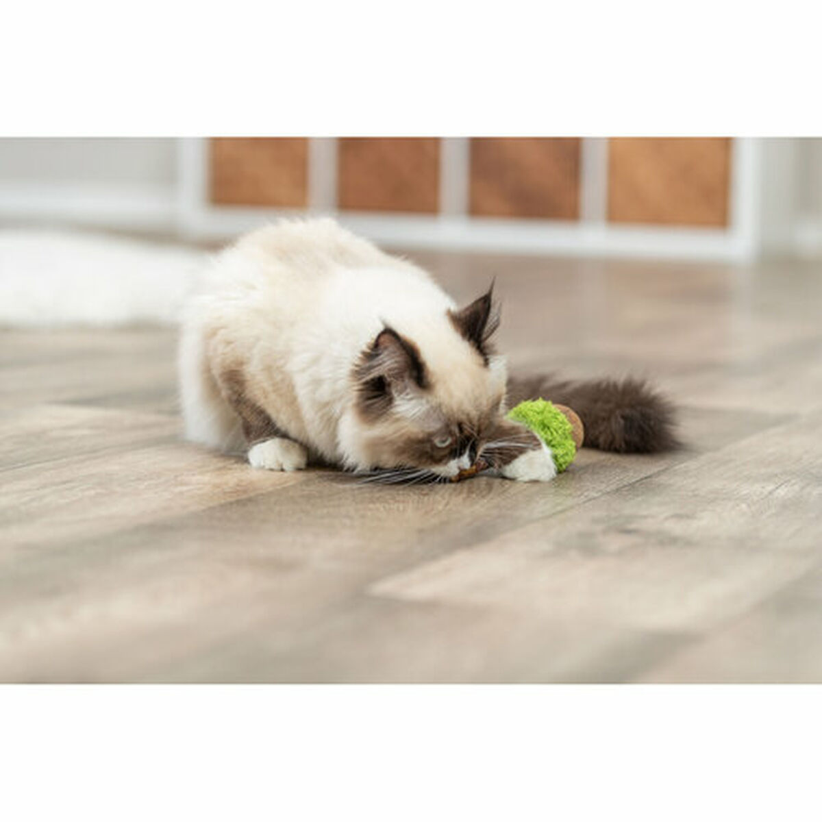 Cat toy Trixie Lolli XXL Green