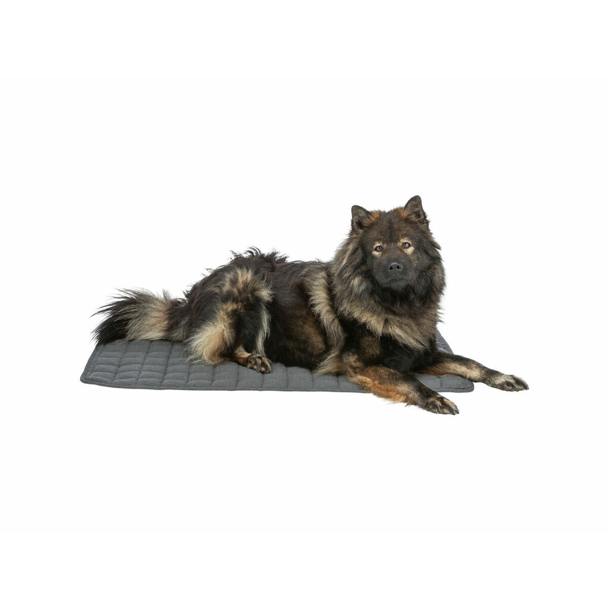 Airbed Trixie Dark grey 120  80 CM Dog