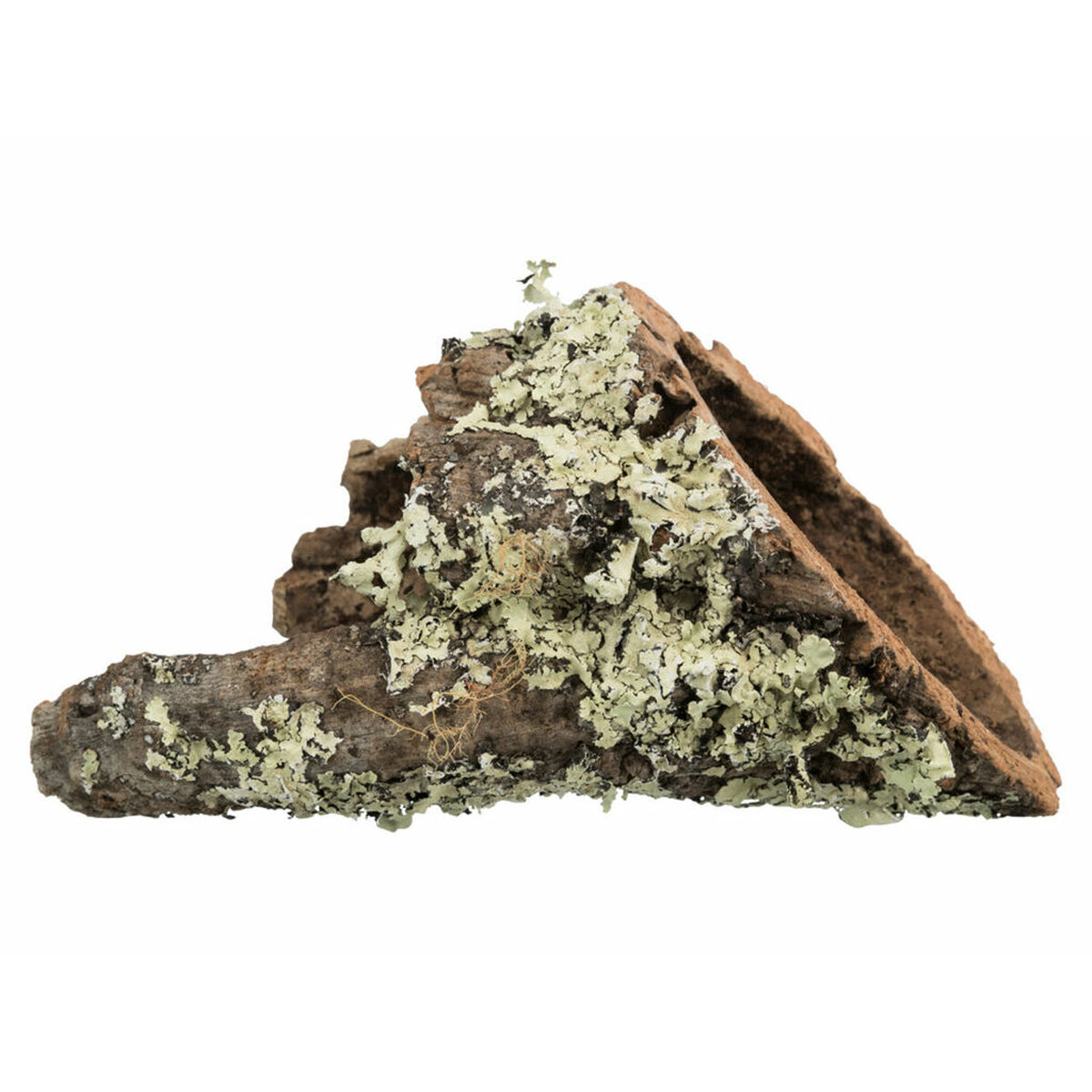 Tunnel Trixie Tunnel Trixie