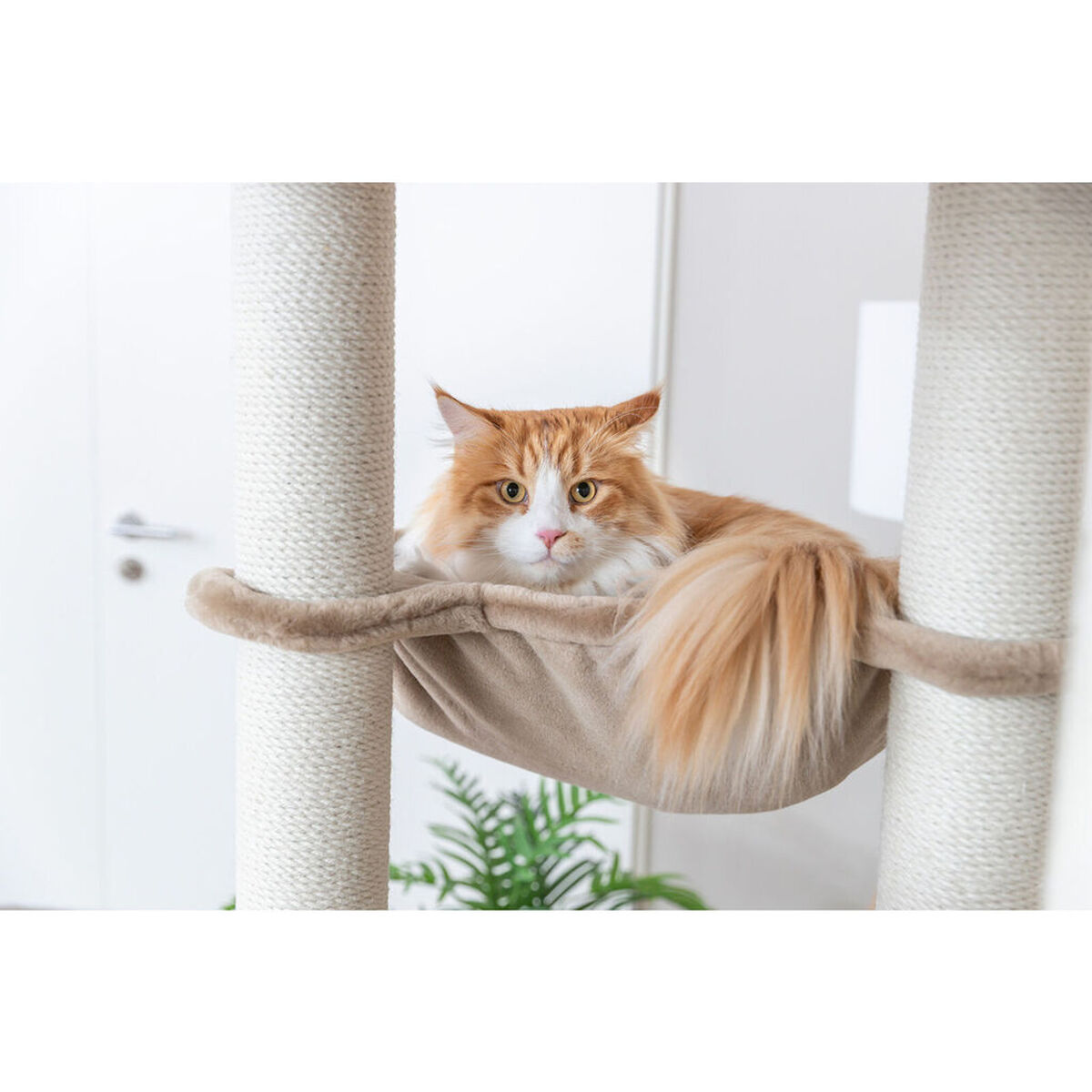 Scratching Post for Cats Trixie XXL Brunna Taupe 165 cm