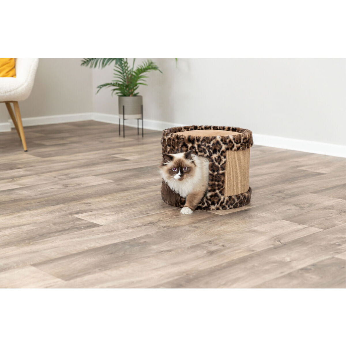 Scratching Post for Cats Trixie Leo Brown  38 x 30 cm