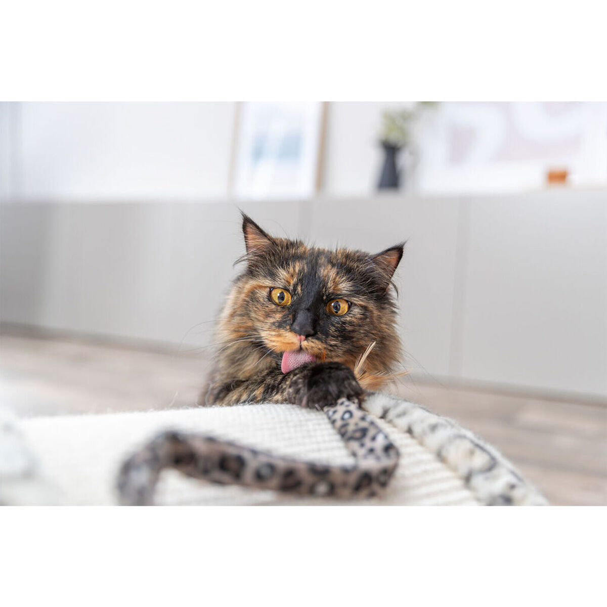 Scratching Post for Cats Trixie Leo Cream 25 cm