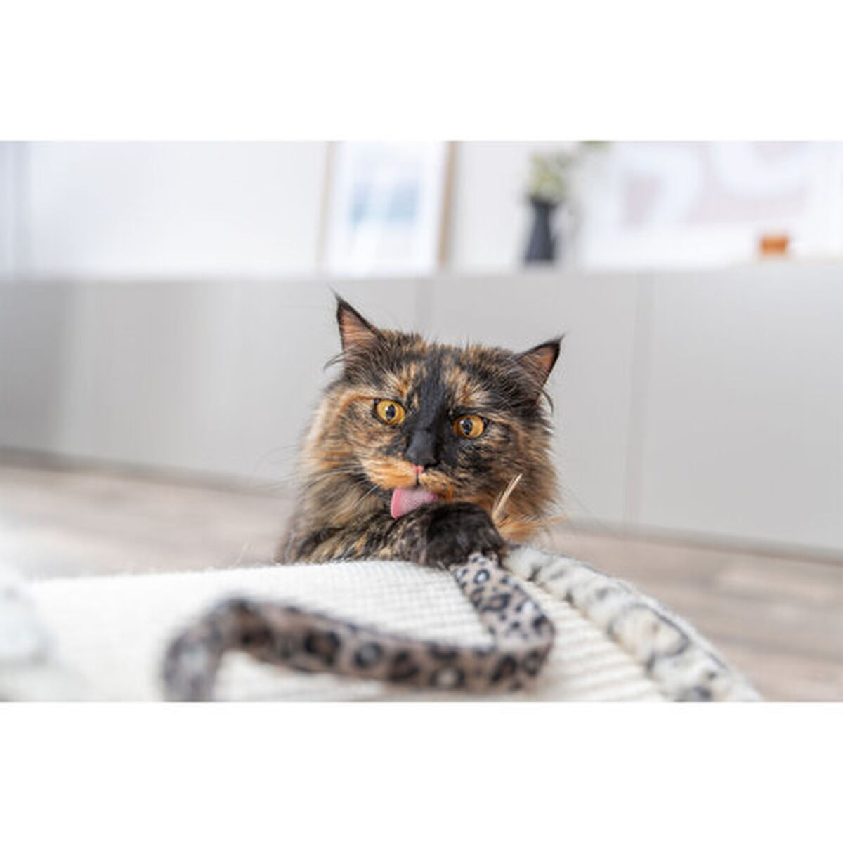 Scratching Post for Cats Trixie Leo Cream 25 cm