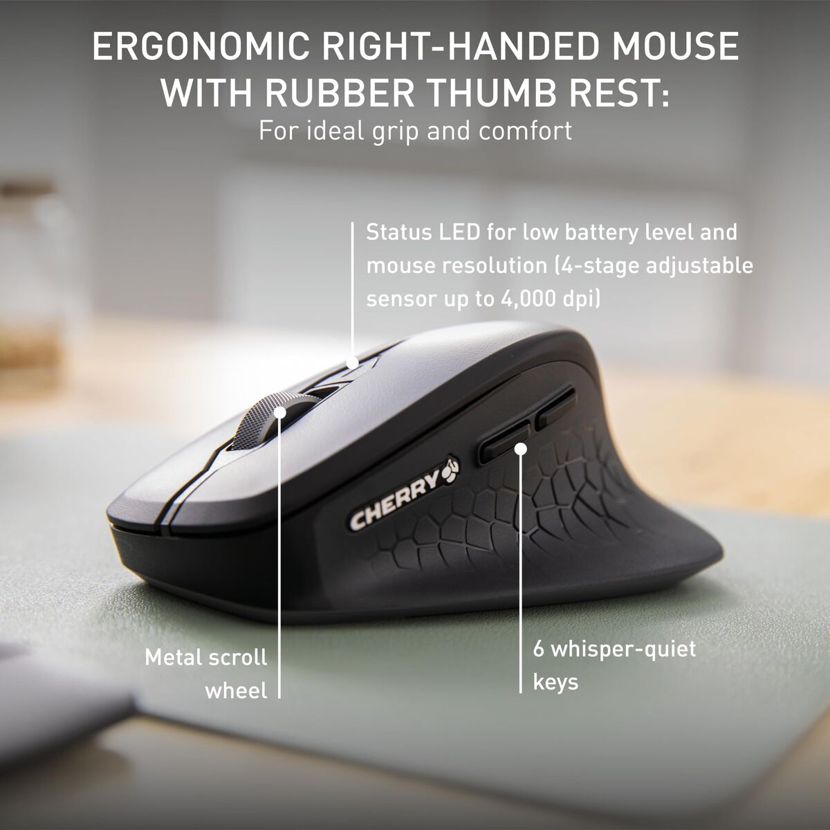 Keyboard and Mouse Cherry JD-8550ES-2 Black Spanish QWERTY