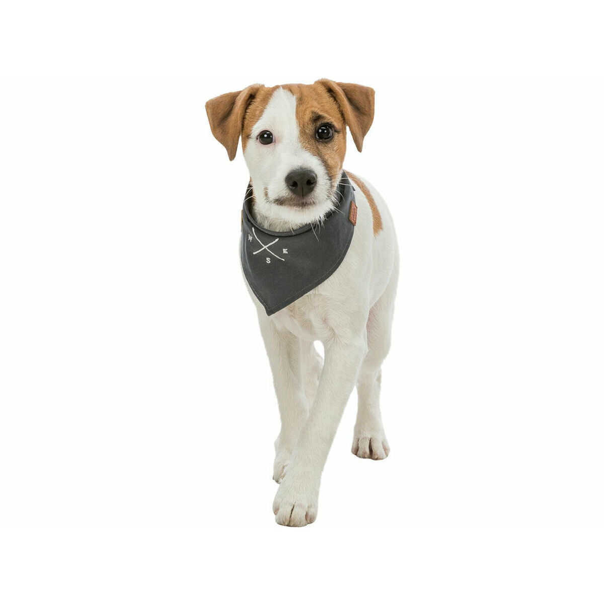 Handkerchief Trixie Dog