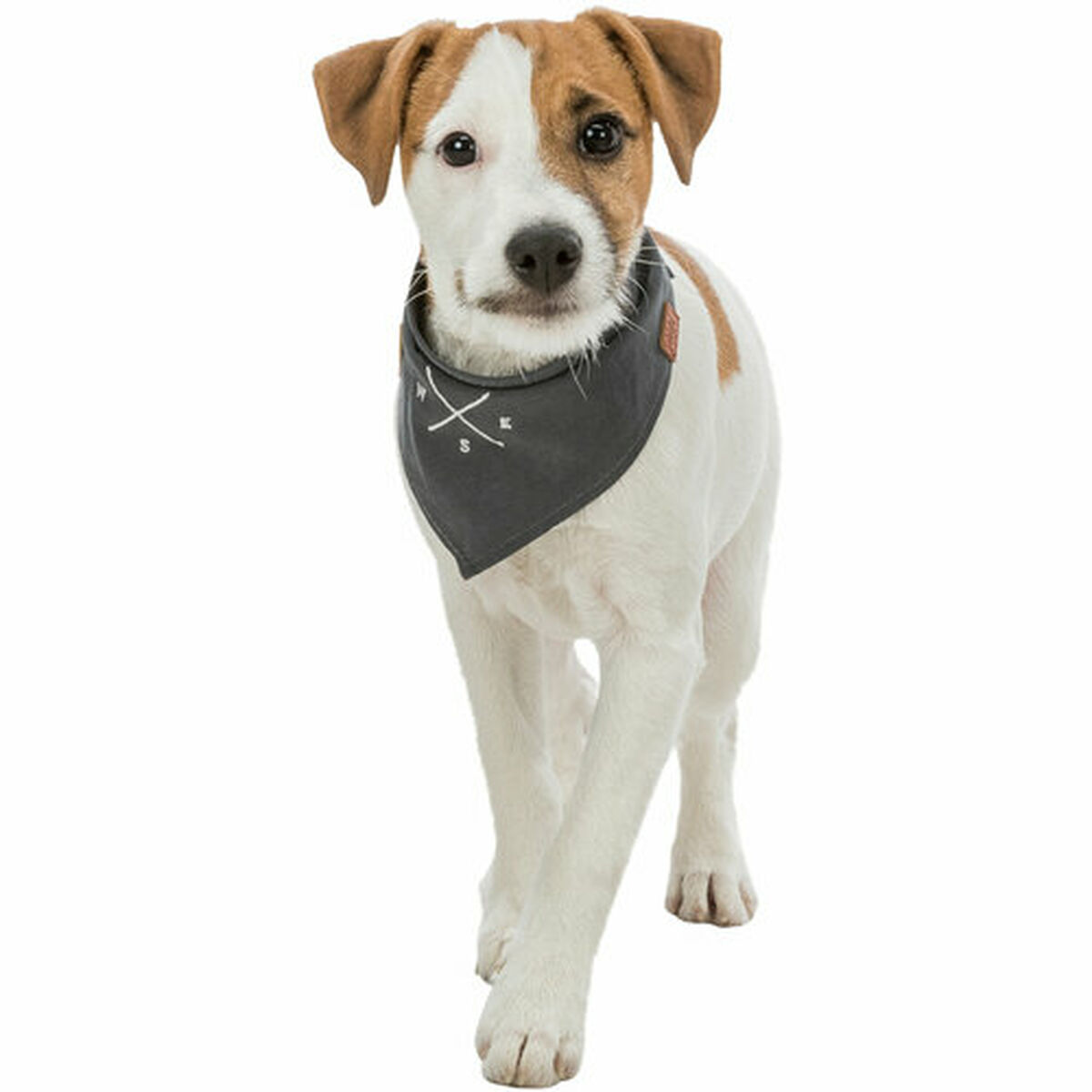 Handkerchief Trixie Dog