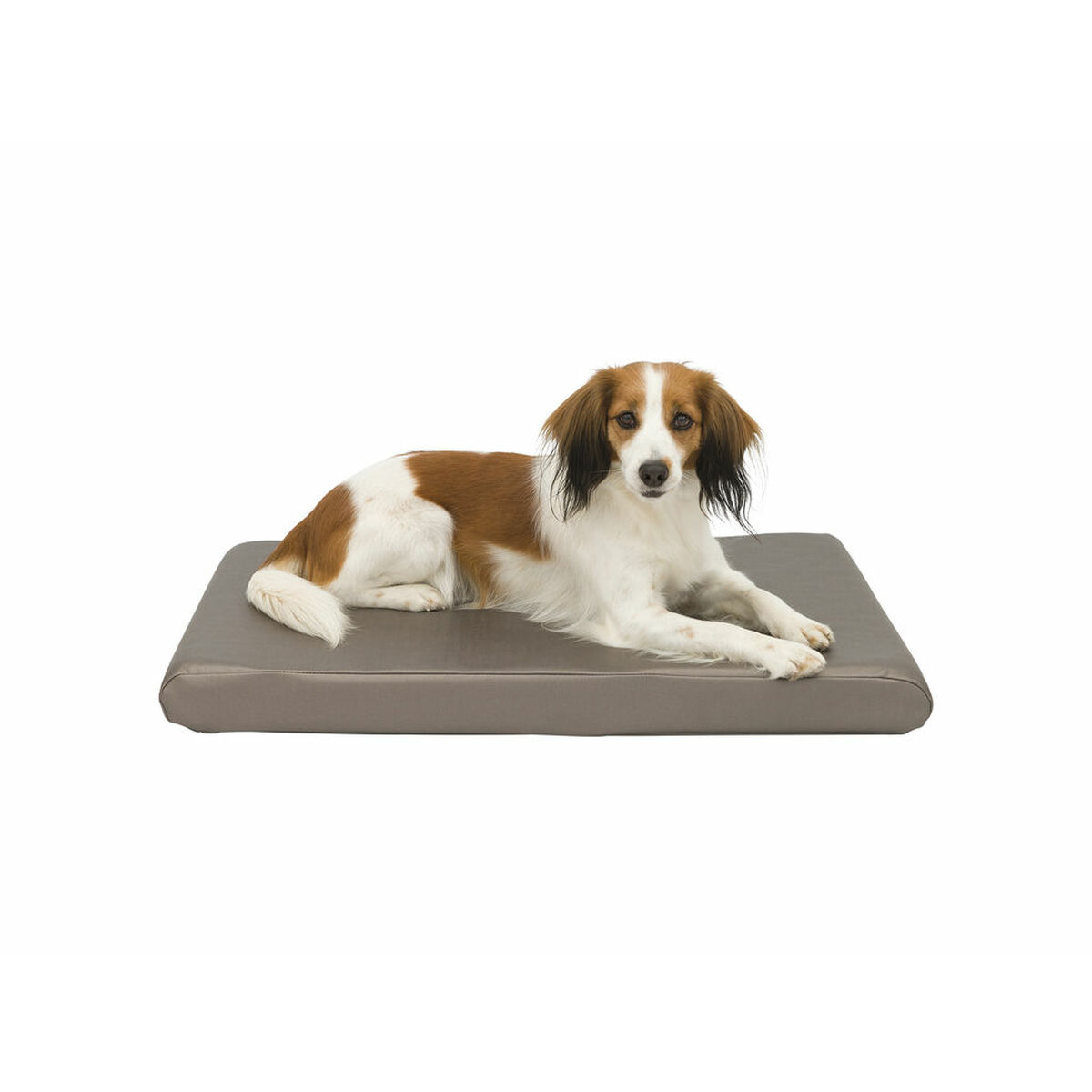 Dog Bed Trixie Sansa Taupe Metallic 65×40 cm Dog Bed Trixie Sansa Taupe Metallic 65×40 cm