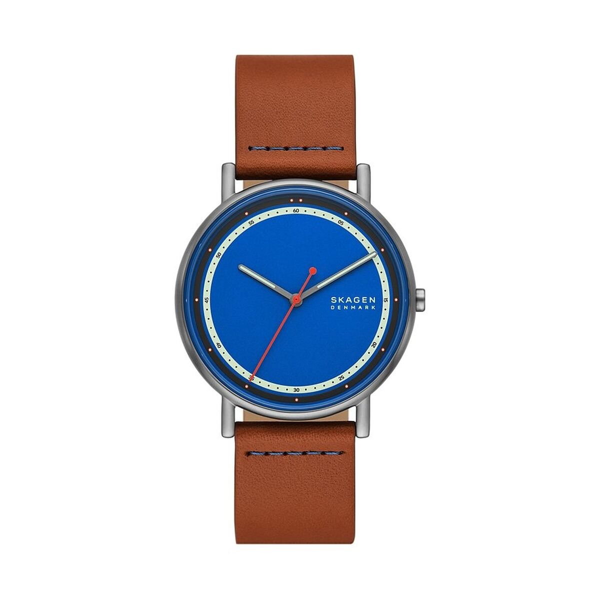 Men’s Watch Skagen SIGNATUR ( 40 mm)