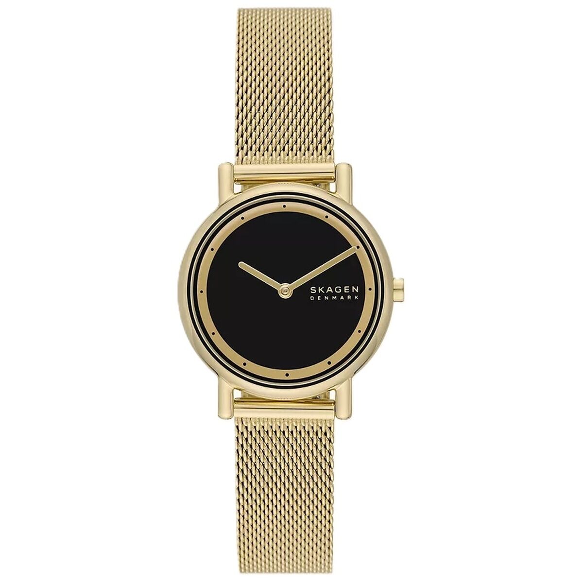Ladies’ Watch Skagen SIGNATUR LILLE ( 30 mm)