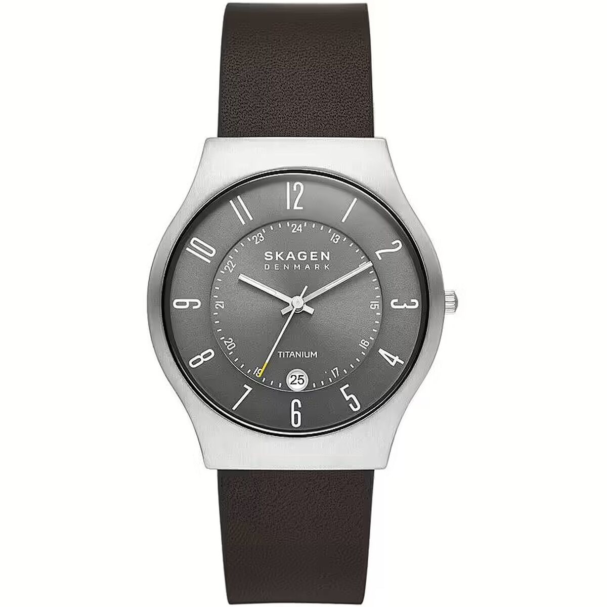 Men’s Watch Skagen SUNDBY TITANIUM ( 40 mm)