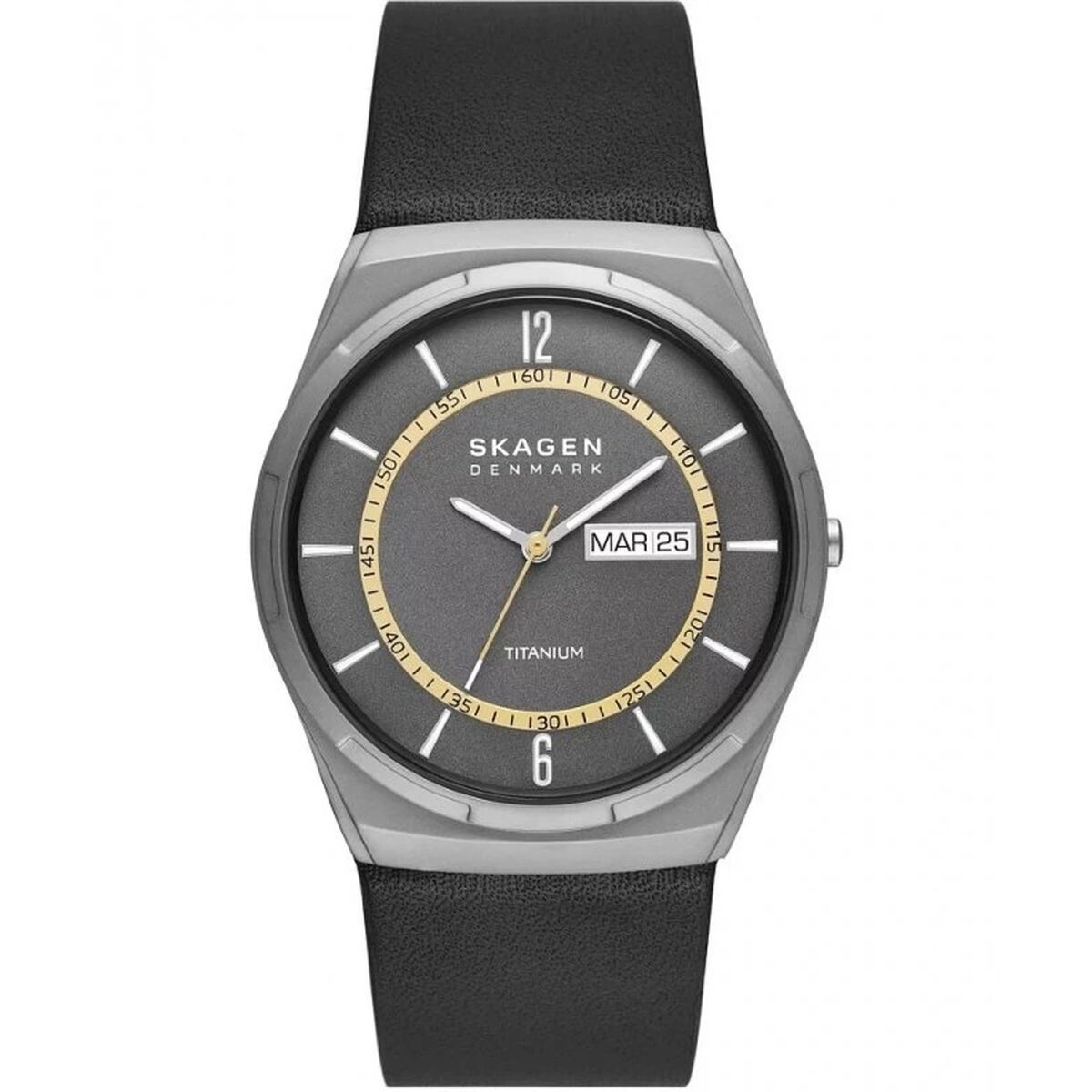 Men’s Watch Skagen MELBYE TITANIUM ( 43 mm)