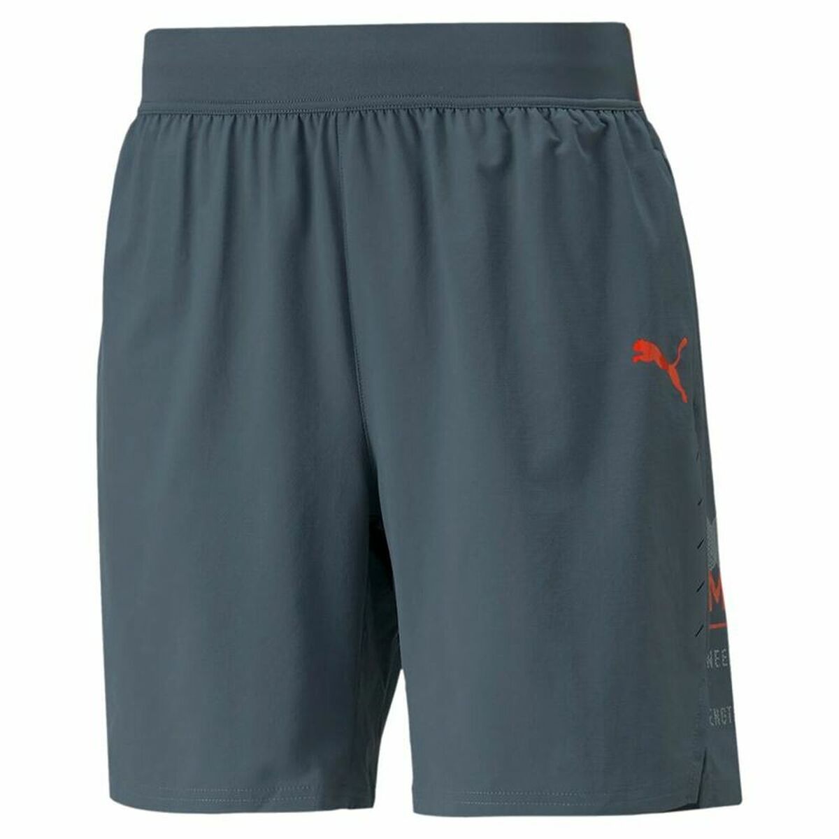 Men’s Sports Shorts Puma Power Colorblock 11″ TR M Dark grey