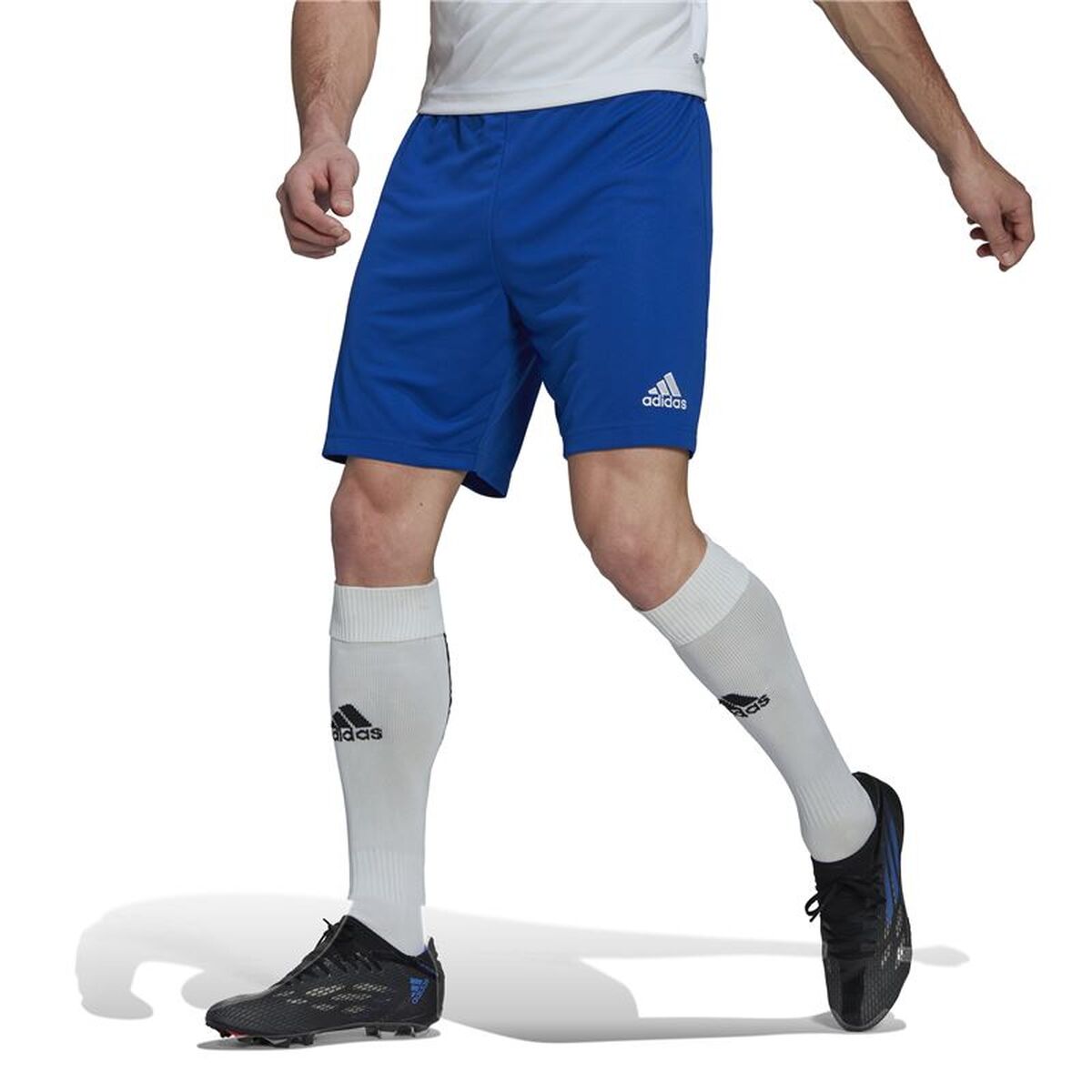 Football Training Trousers for Adults Adidas Ent22 Blue