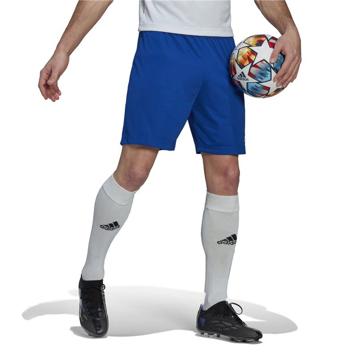 Football Training Trousers for Adults Adidas Ent22 Blue