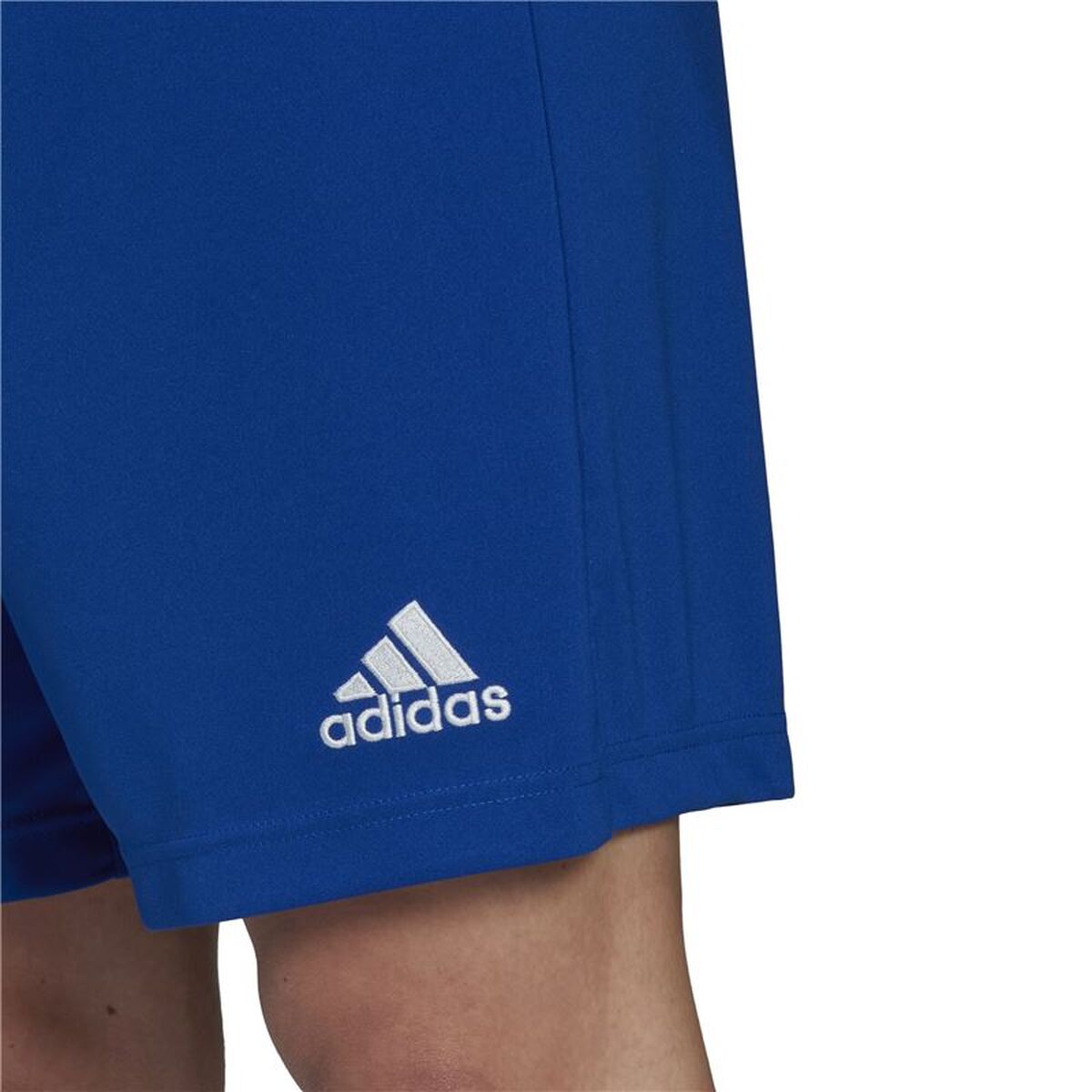 Football Training Trousers for Adults Adidas Ent22 Blue