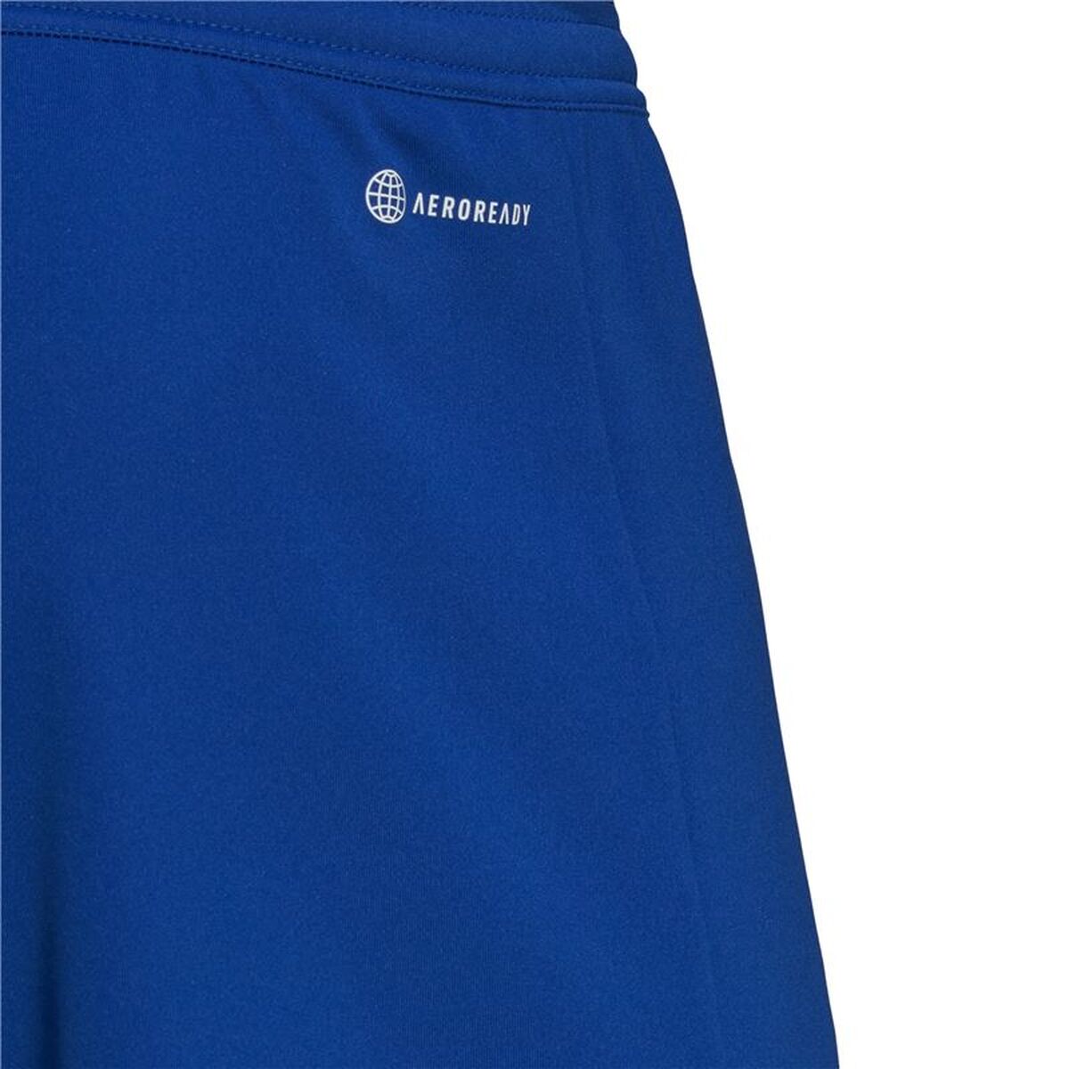 Football Training Trousers for Adults Adidas Ent22 Blue