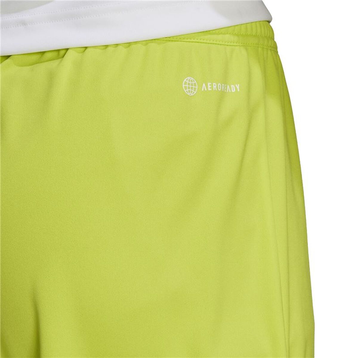 Sports Shorts Adidas Ent22 Lime green